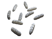 Fleximech Gross Maggots Set Of 10 Articulated Fidget Toy Insects Choose Color