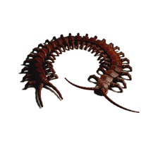 FlexiMech Diamondback Centipede Articulated 3d Printed Insect Toy