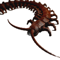FlexiMech Diamondback Centipede Articulated 3d Printed Insect Toy