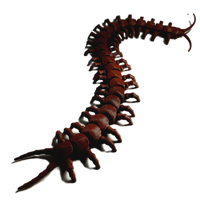 FlexiMech Diamondback Centipede Articulated 3d Printed Insect Toy