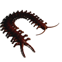 FlexiMech Diamondback Centipede Articulated 3d Printed Insect Toy