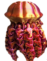 FlexiMech Sea Nettle Jellyfish Multicolor Articulated 3d Printed Sea Creature Fidget Toy