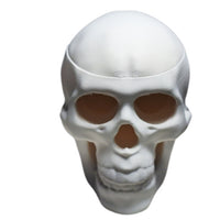 FlexiMech Human Skull Tealight Lamp 3.5"Tall Sculpture Bone White Tealight Cover Candle Holder