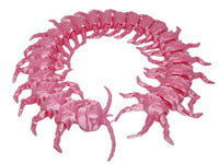 Exclusive3D Diamondback Centipede 17" Articulated 3d Printed Insect Toy