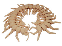 Exclusive3D Diamondback Centipede 17" Articulated 3d Printed Insect Toy