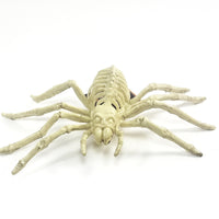 Bone Critters Large Scary Life-Size Tarantula Spider Skeleton