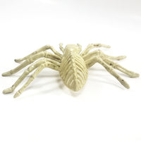 Bone Critters Large Scary Life-Size Tarantula Spider Skeleton