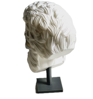 FlexiMech Beard & Skull Head Full Of Hair 4.5"Tall Statue Collection #13 With Stand Pearl White
