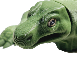 Flexi-Mech Komodo Dragon Flexible Fully Articulated 3d Printed Reptile  Fidget Toy