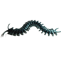 FlexiMech Creepy Centipede Articulated 3d Printed Insect Toy
