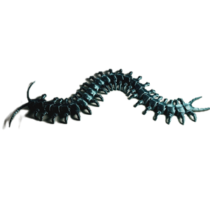 FlexiMech Creepy Centipede Articulated 3d Printed Insect Toy