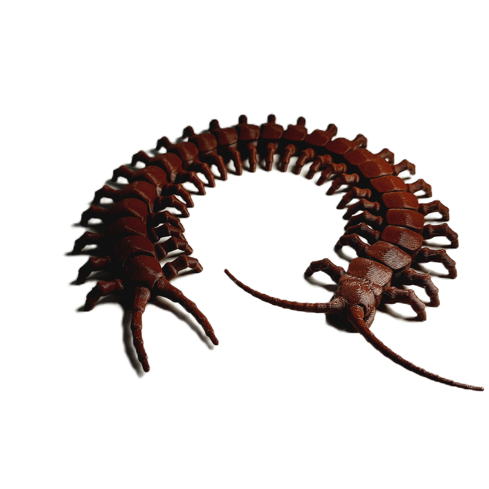 FlexiMech Diamondback Centipede Articulated 3d Printed Insect Toy