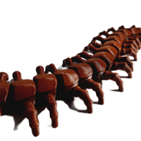 FlexiMech Creepy Centipede Articulated 3d Printed Insect Toy
