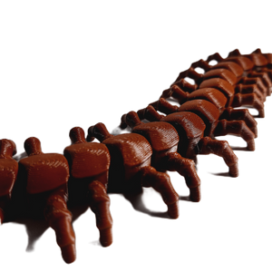 FlexiMech Creepy Centipede Articulated 3d Printed Insect Toy