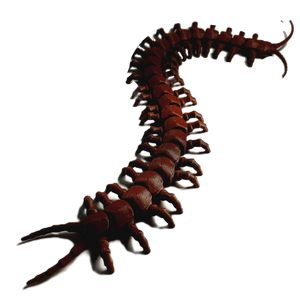 FlexiMech Creepy Centipede Articulated 3d Printed Insect Toy