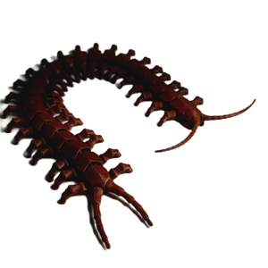 FlexiMech Creepy Centipede Articulated 3d Printed Insect Toy