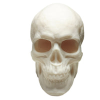 FlexiMech Human Skull Anatomically Correct & Detailed 3.5" Tall Replica Prop Statue
