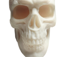FlexiMech Human Skull Anatomically Correct & Detailed 3.5" Tall Replica Prop Statue
