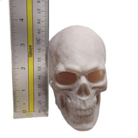 FlexiMech Human Skull Anatomically Correct & Detailed 3.5" Tall Replica Prop Statue
