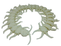 Exclusive3D Diamondback Centipede 17" Articulated 3d Printed Insect Toy
