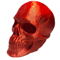 FlexiMech Human Skull Anatomically Correct & Detailed 3.5" Tall Replica Prop Statue
