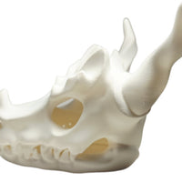 FlexiMech Dragon Skull Tealight Lamp 4.75"Tall Sculpture Bone White Tealight Cover