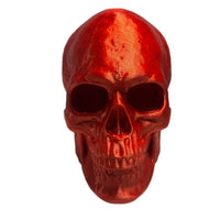 FlexiMech Human Skull Anatomically Correct & Detailed 3.5" Tall Replica Prop Statue
