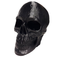 FlexiMech Human Skull Anatomically Correct & Detailed 3.5" Tall Replica Prop Statue