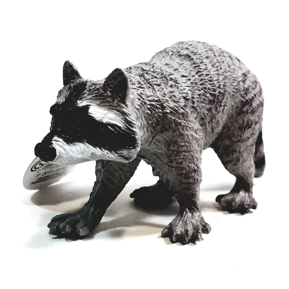PLANET EARTH The Raccoon 4