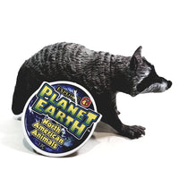 PLANET EARTH The Raccoon 4" North American Animals Plastic Figure
