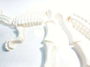Sand Box Dino Bones White10 Piece T-Rex Dinosaur Sand Mold Skeleton Puzzle Set