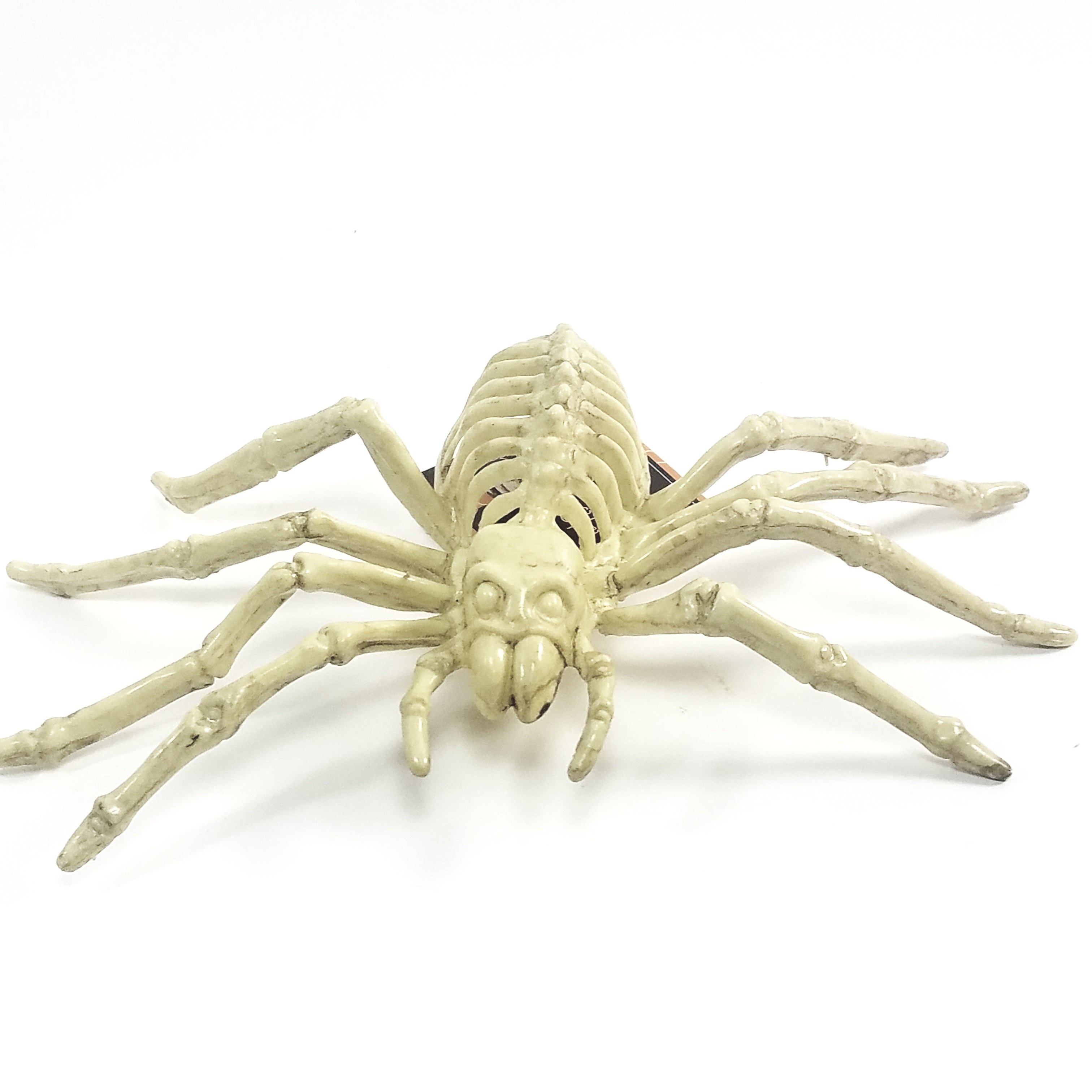 Bone Critters Large Scary  Life-Size Tarantula Spider Skeleton