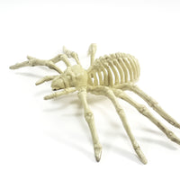 Bone Critters Large Scary  Life-Size Tarantula Spider Skeleton
