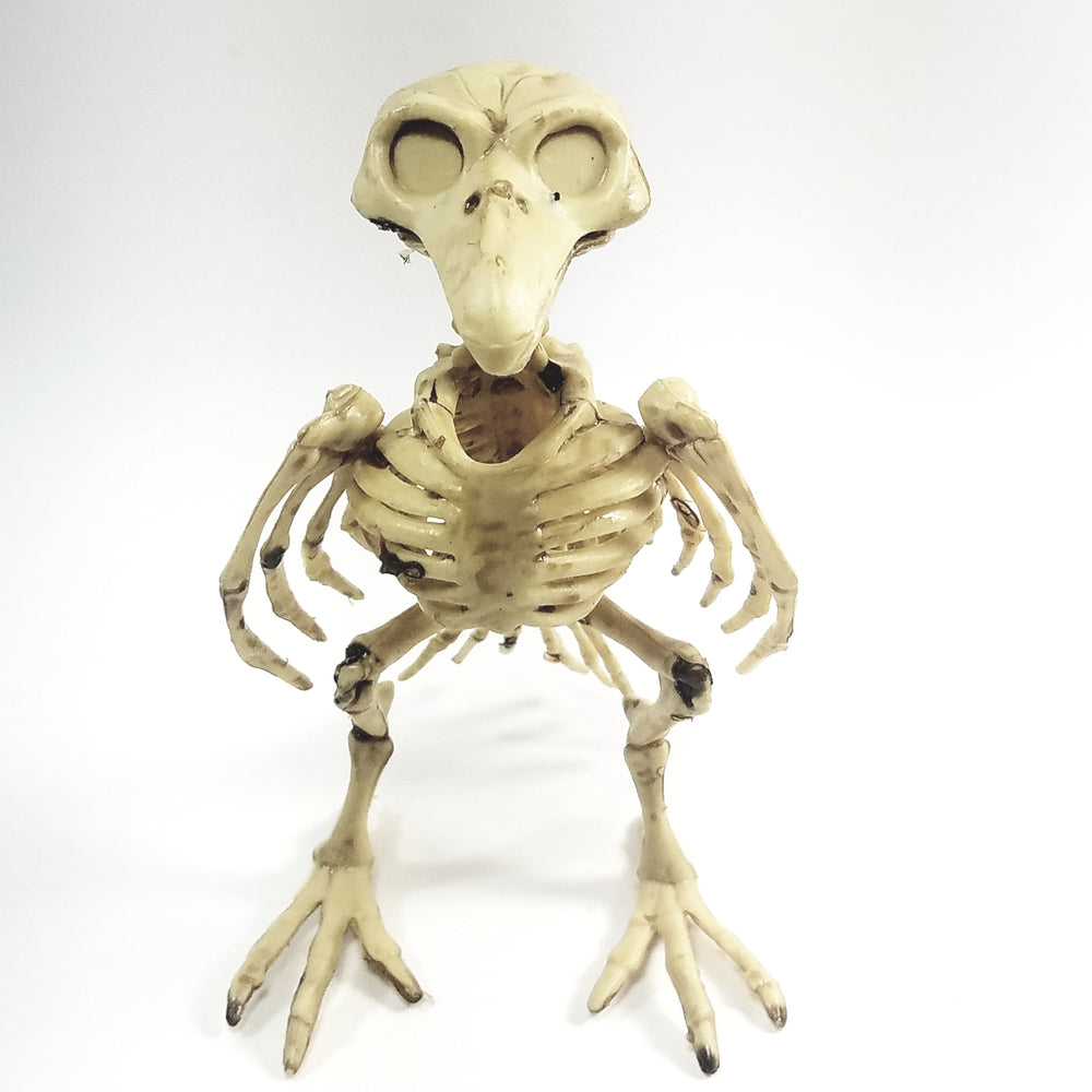 Bone Critters Large Scary Buzzard Skeleton With Articulated Jaws & Wings