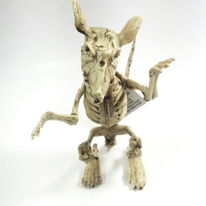 Bone Critters  Large Scary  Life-Size Rat Skeleton With Articulated Limbs & Jaw