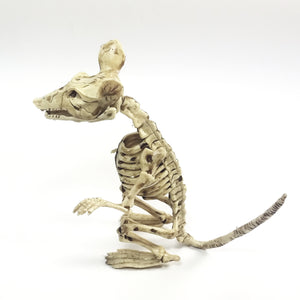 Bone Critters  Large Scary  Life-Size Rat Skeleton With Articulated Limbs & Jaw