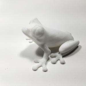 Red Eyed Tree Frog 3d Printed Amphibian Toy Real Life Size 2" Long Figure