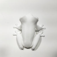 Red Eyed Tree Frog 3d Printed Amphibian Toy Real Life Size 2" Long Figure
