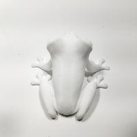 Red Eyed Tree Frog 3d Printed Amphibian Toy Real Life Size 2" Long Figure