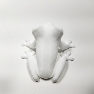 Red Eyed Tree Frog 3d Printed Amphibian Toy Real Life Size 2" Long Figure